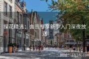 探花精选：会员专享新手入门深夜放送
