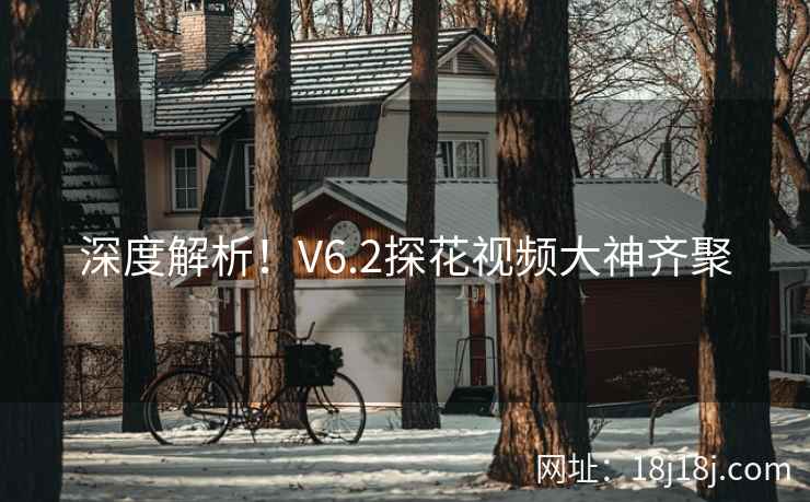 深度解析!V6.2探花视频大神齐聚 深度解析!V6.2探花视频大神齐聚