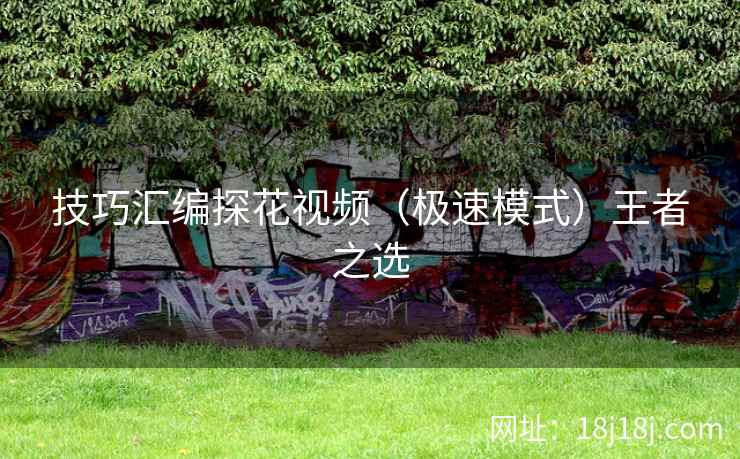 技巧汇编探花视频（极速模式）王者之选