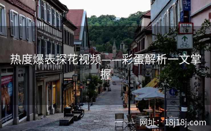 热度爆表探花视频——彩蛋解析一文掌握