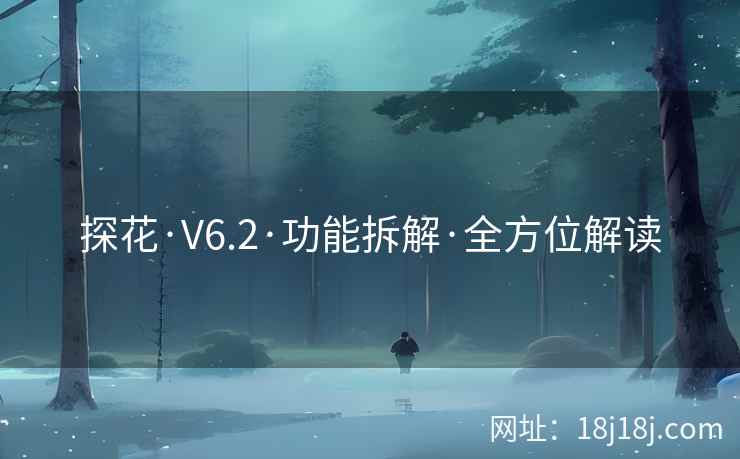 探花·V6.2·功能拆解·全方位解读 探花·V6.2·功能拆解·全方位解读
