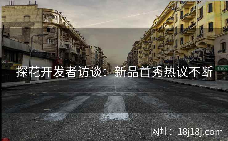 探花开发者访谈:新品首秀热议不断 探花开发者访谈:新品首秀热议不断