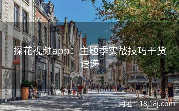 探花视频app：主题季实战技巧干货速递