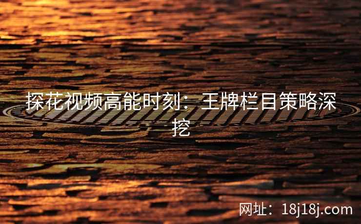 探花视频高能时刻：王牌栏目策略深挖