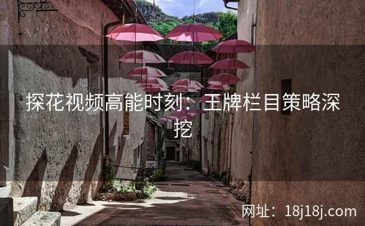探花视频高能时刻：王牌栏目策略深挖