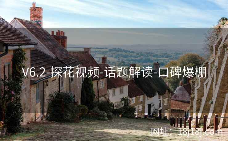 V6.2-探花视频-话题解读-口碑爆棚
