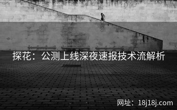 探花:公测上线深夜速报技术流解析 探花:公测上线深夜速报技术流解析
