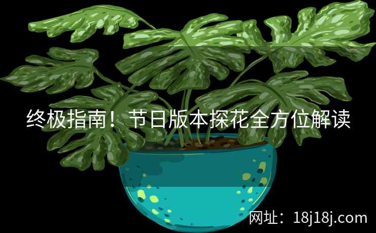 终极指南!节日版本探花全方位解读 终极指南!节日版本探花全方位解读