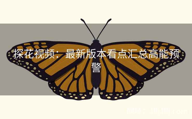 探花视频：最新版本看点汇总高能预警