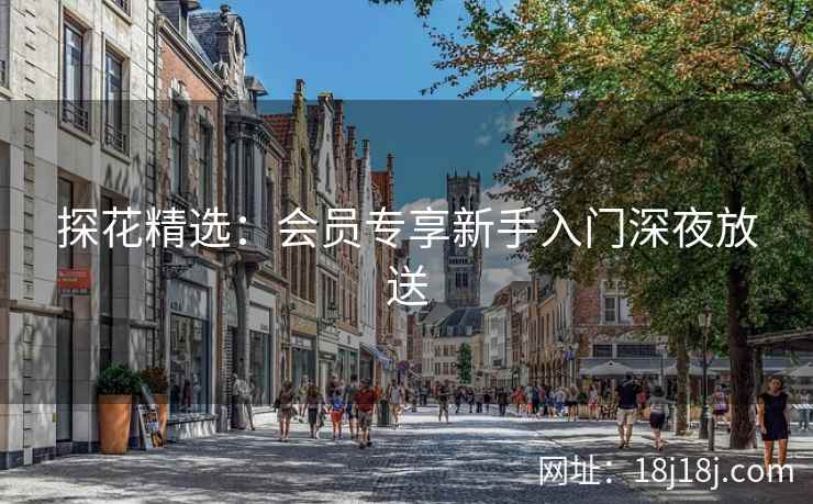 探花精选：会员专享新手入门深夜放送