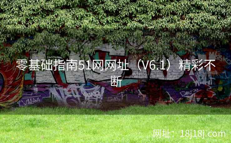 零基础指南51网网址（V6.1）精彩不断