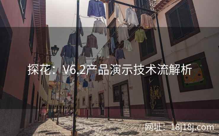 探花：V6.2产品演示技术流解析