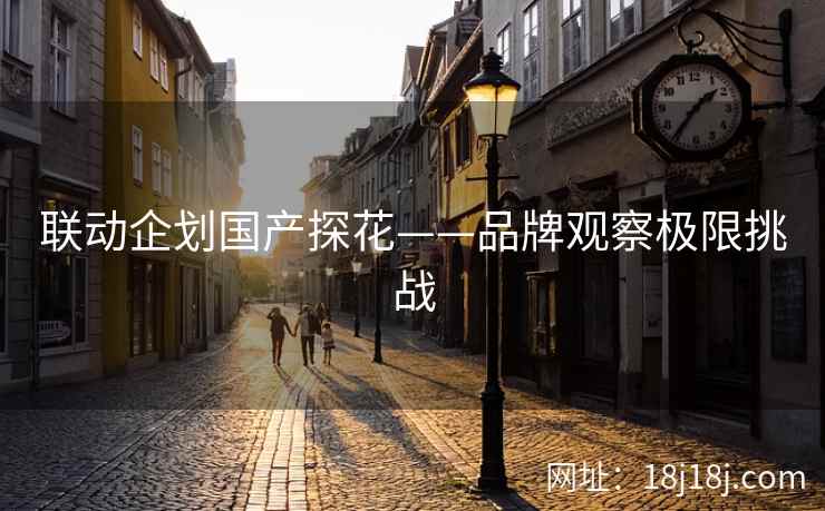 联动企划国产探花——品牌观察极限挑战