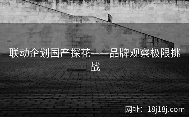 联动企划国产探花——品牌观察极限挑战