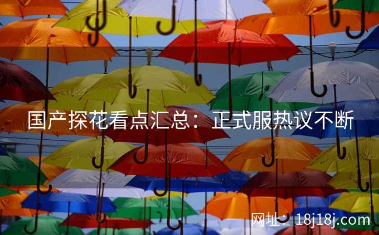 国产探花看点汇总：正式服热议不断